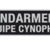 Bandeau d’identification rétro-réflechissant fond noir GD Equipe Cyno (DCA) – Image 2