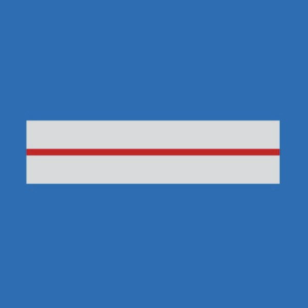 Grade Police Municipale BRIGADIER CHEF (LPSA)