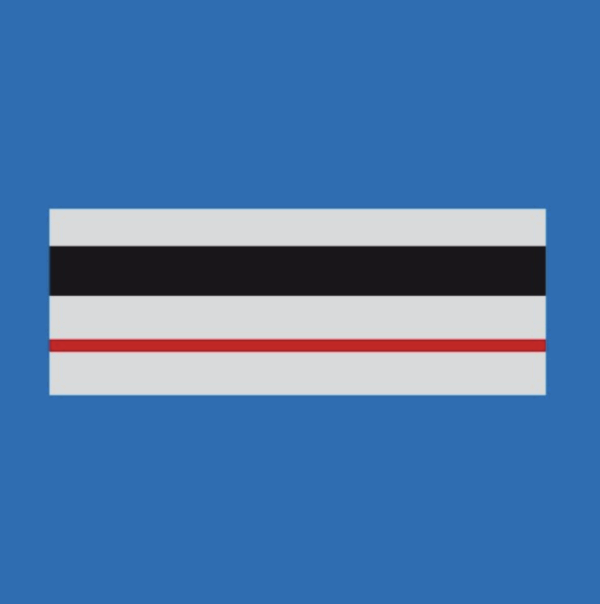 Grade Police Municipale CHEF DE POLICE (LPSA)