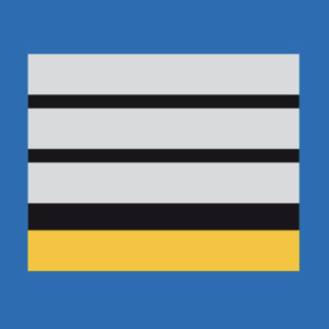 Grade Police Municipale DIRECTEUR STAGIAIRE (LPSA)