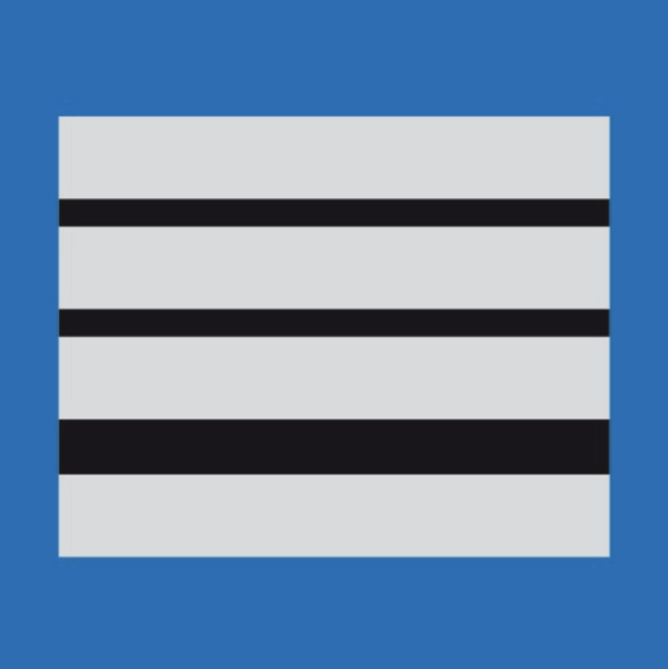 Grade Police Municipale DIRECTEUR (LPSA)