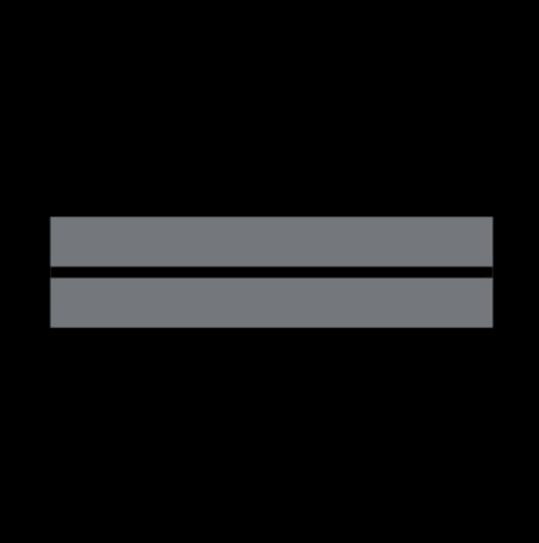 Grade Police Municipale BRIGADIER CHEF (LPSA)