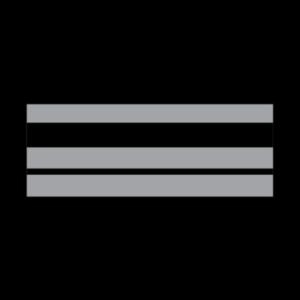 Grade Police Municipale BRIGADIER CHEF PRINCIPAL (LPSA)