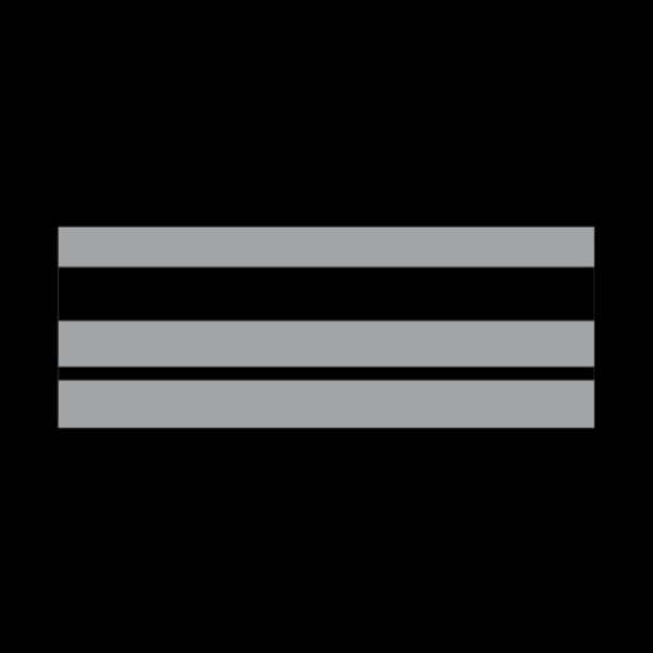 Grade Police Municipale BRIGADIER CHEF PRINCIPAL (LPSA)