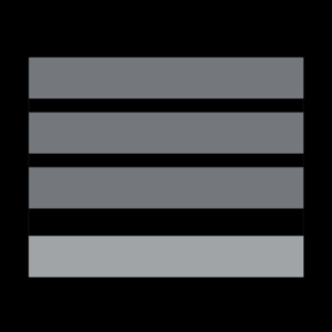 Grade Police Municipale DIRECTEUR STAGIAIRE (LPSA)