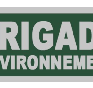 Flap brigade environnement 280 x130 (LPSA)